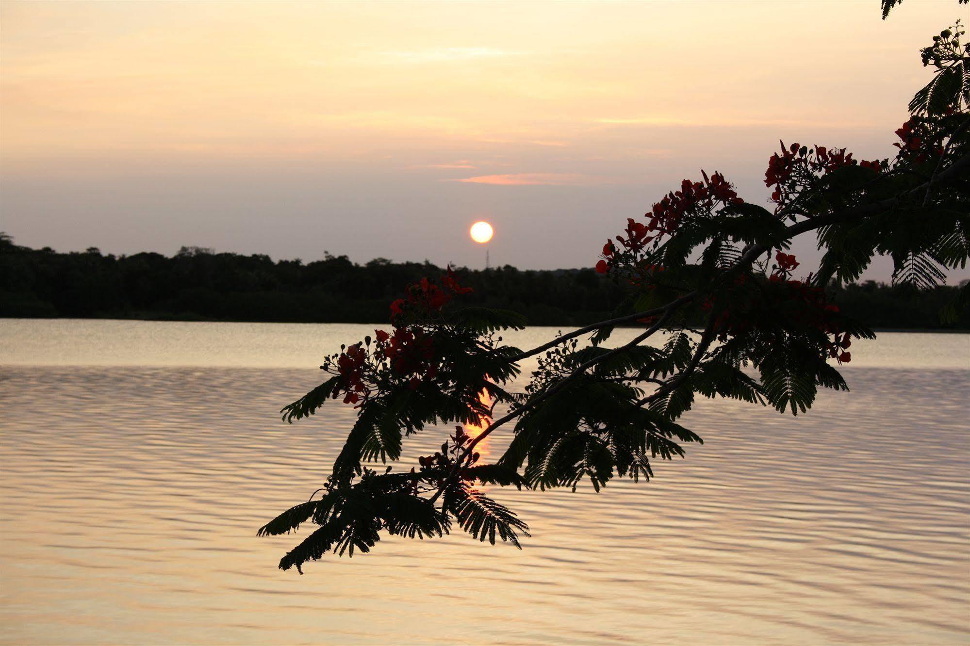 פורט וילה Sunset Bungalows Resort, Vanuatu מראה חיצוני תמונה